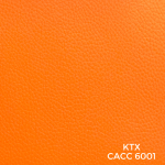 6001-Orange